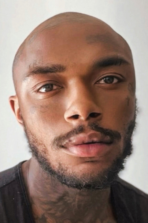 Davi Stefond profile