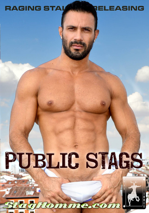 Public Stags poster