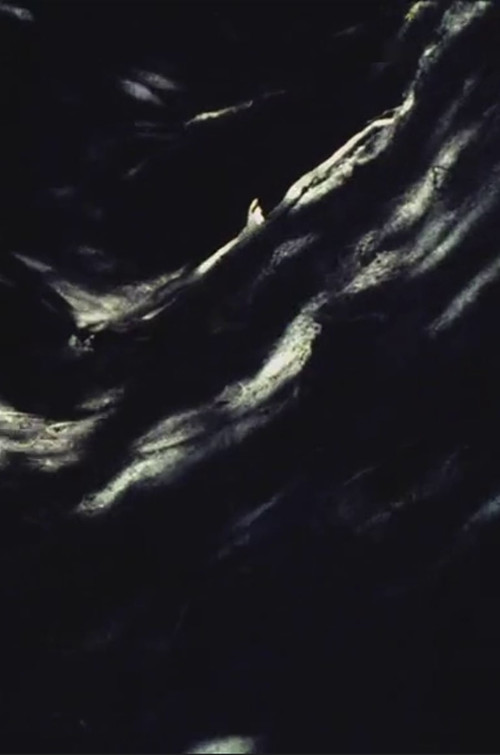 Painted Earth poster