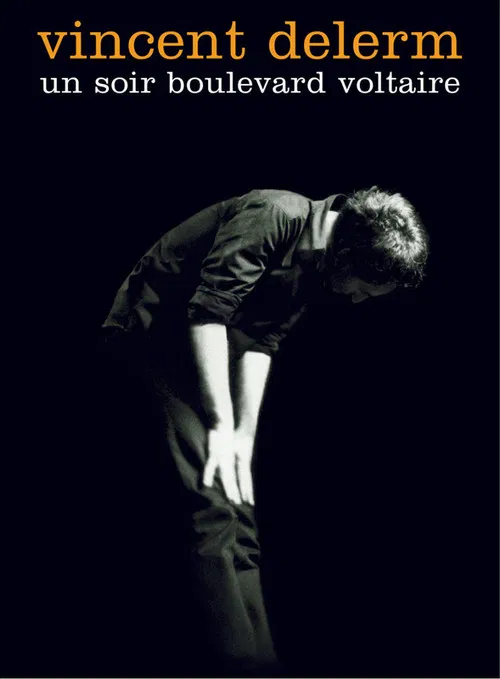 Vincent Delerm - Un soir boulevard Voltaire poster