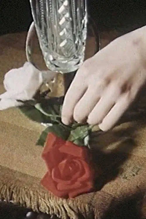 The Poet, the Spider and the Hand poster