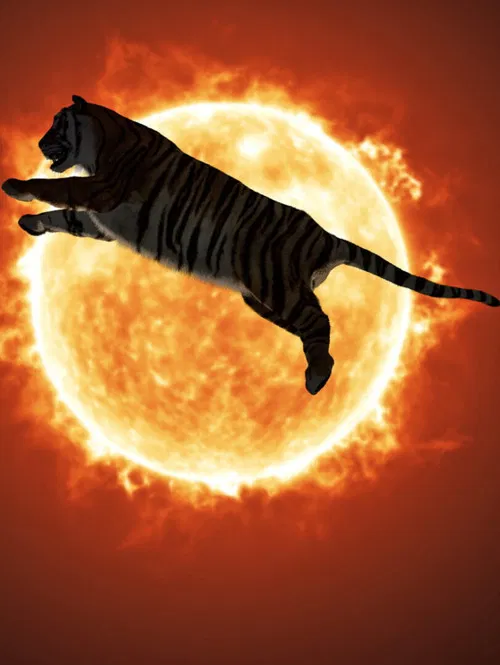 One or Several Tigers poster