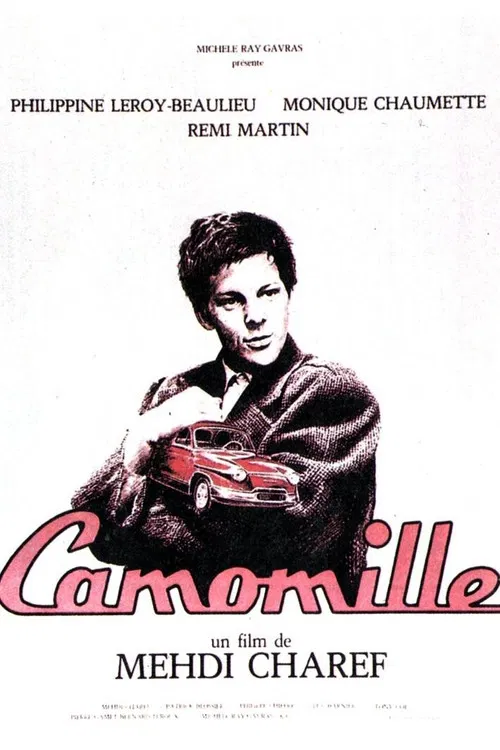 Camomille poster