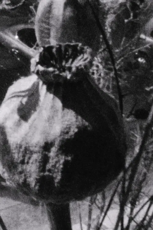 Ein windiger Frühlingstag poster