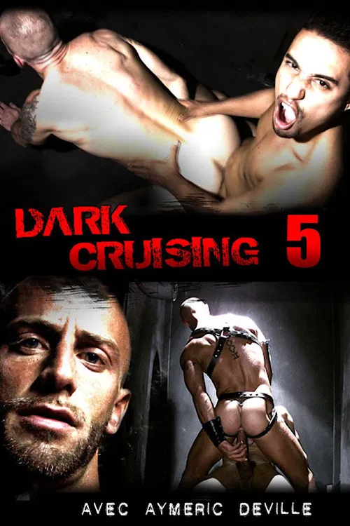 Dark Cruising 5 poster