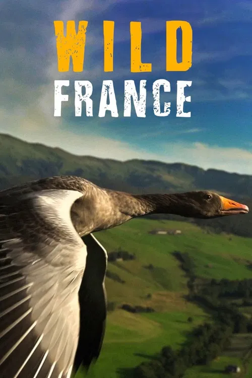 Wild France poster