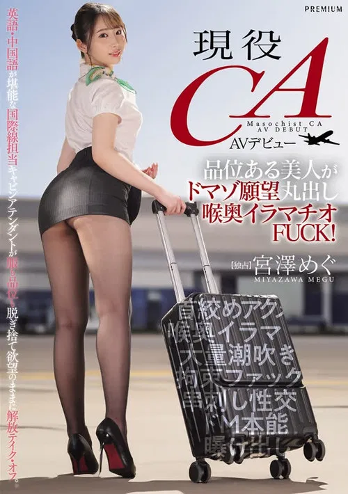 現役CA AVデビュー 品位ある美人がドマゾ願望丸出し喉奥イラマチオFUCK！ 宮澤めぐ poster