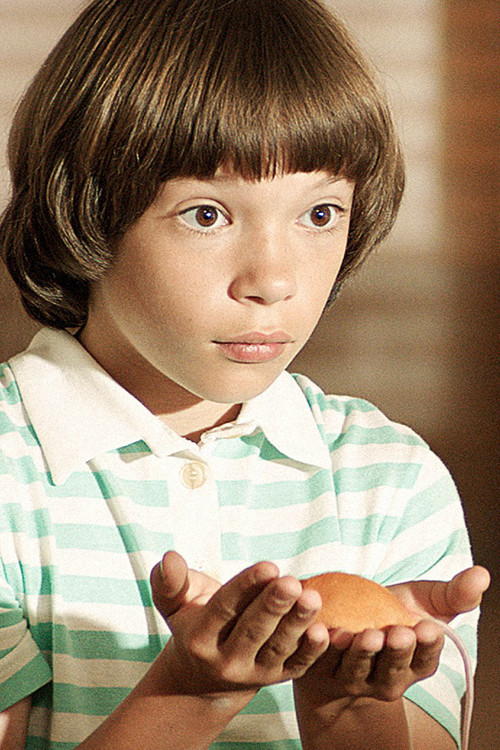 Jan Maršál profile