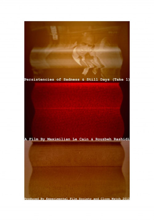 Persistencies of Sadness & Still Days (Take 1) poster