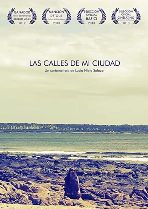 The Streets of My Town poster