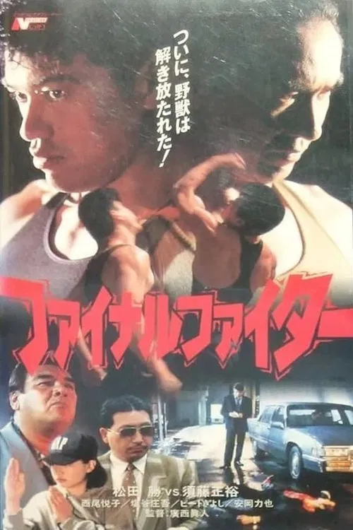 Final Fighter poster