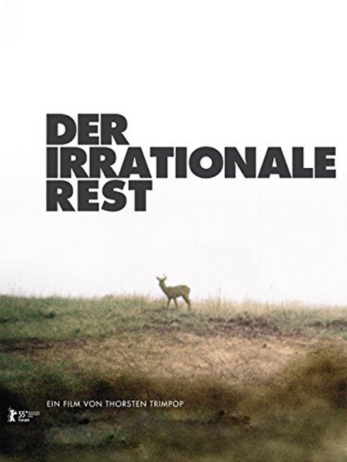 Der irrationale Rest poster