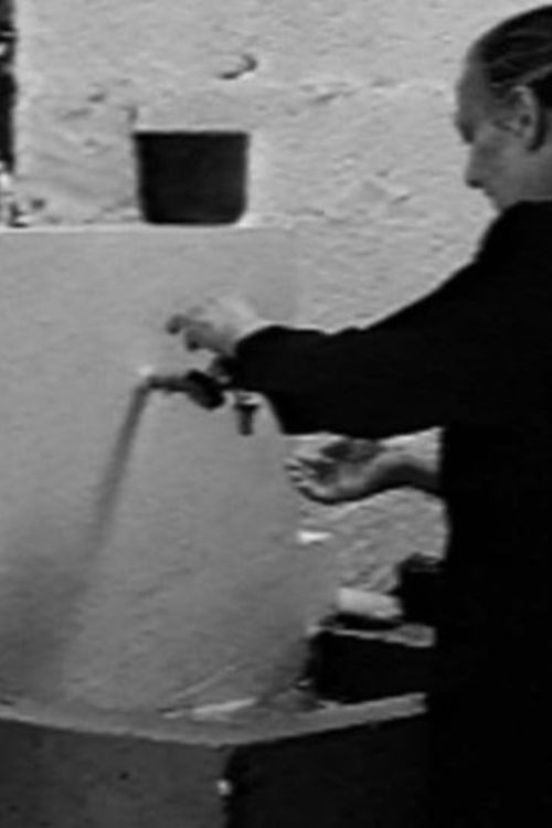 The Dance of the Horses poster