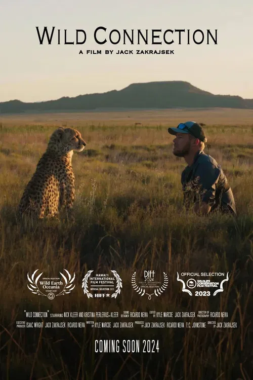 Wild Connection poster