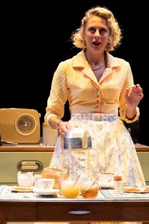 Home, I'm Darling poster