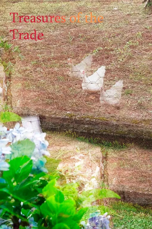 Treasures of the Trade poster