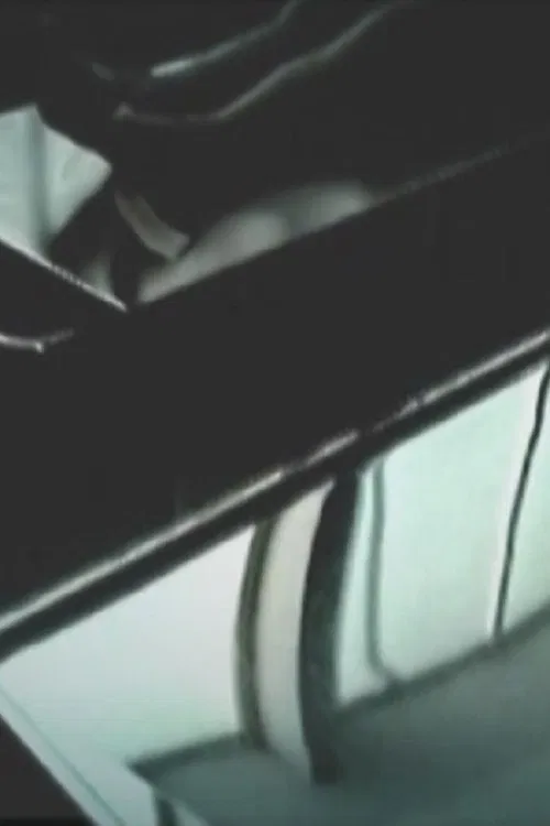 Sane Impression 2 poster