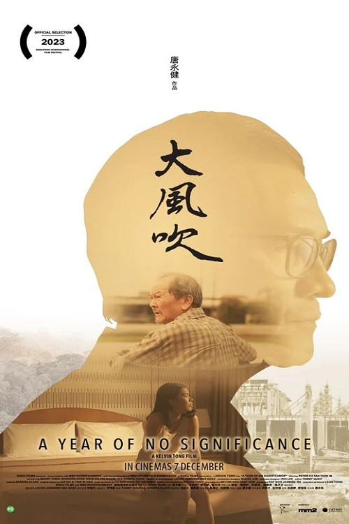 A Year of No Significance poster