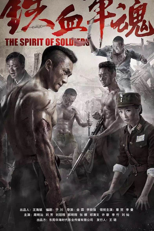 The Spirit of Soldiers poster