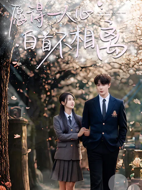 愿得一人心白首不相离 poster
