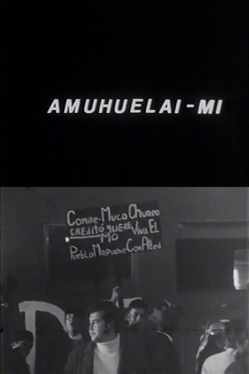 Amuhuelai-mi poster