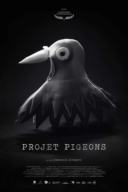 Projet Pigeons poster
