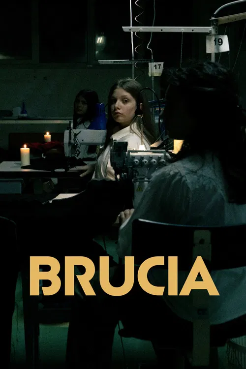 Brucia poster