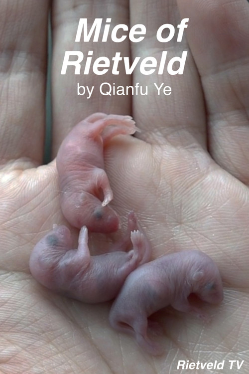 Mice of Rietveld poster