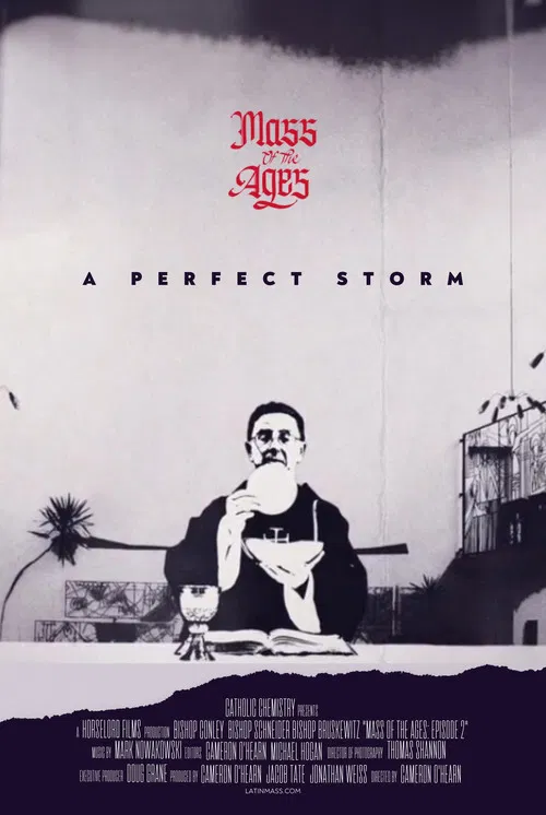 Mass of the Ages: A Perfect Storm poster