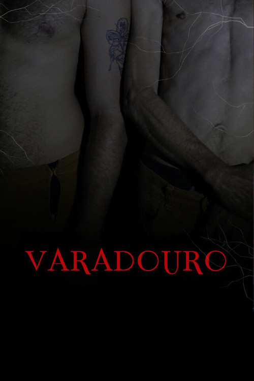 Varadouro poster