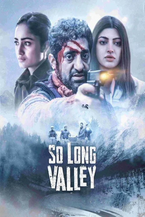 So Long Valley poster