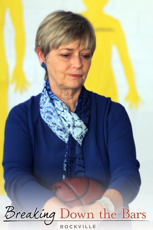 Breaking Down the Bars poster