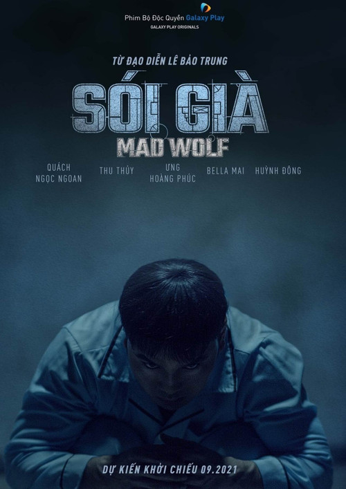 Mad Wolf poster