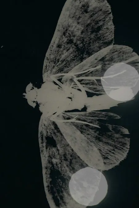 SECRET MESSAGE - Other Wise poster