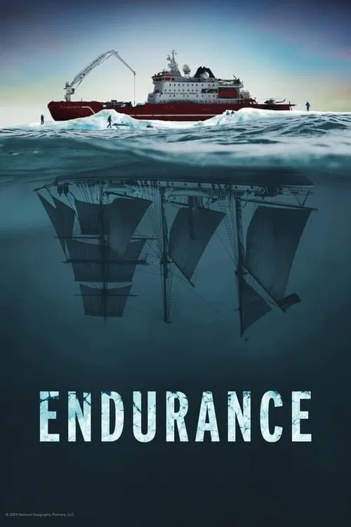 Endurance poster