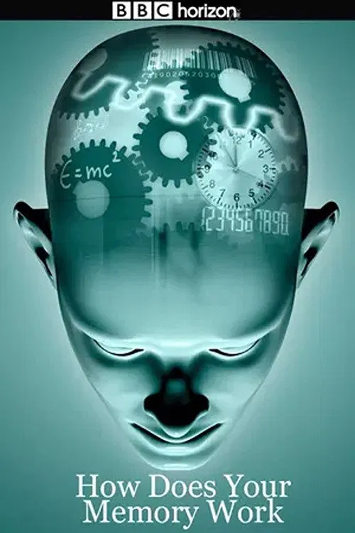 Horizon: How Does Your Memory Work? poster