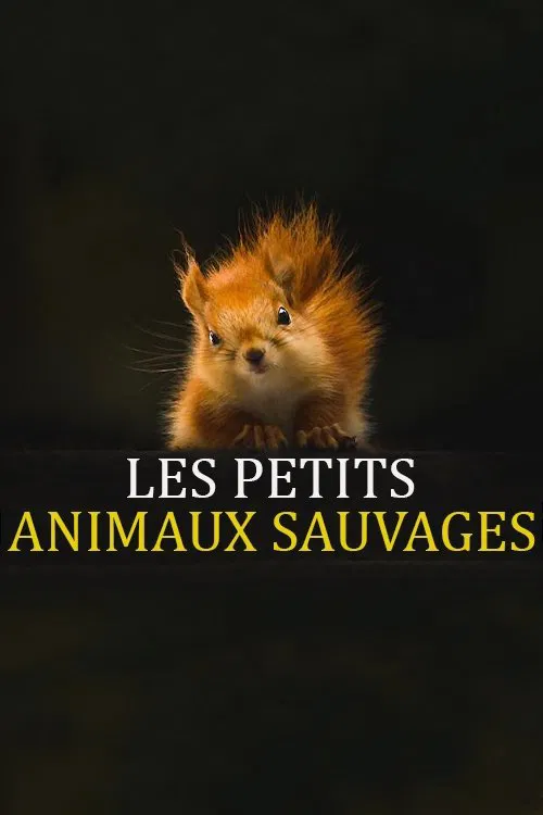 Les Petits Animaux Sauvages poster
