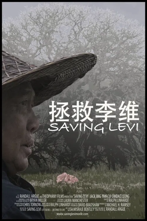 Saving Levi poster