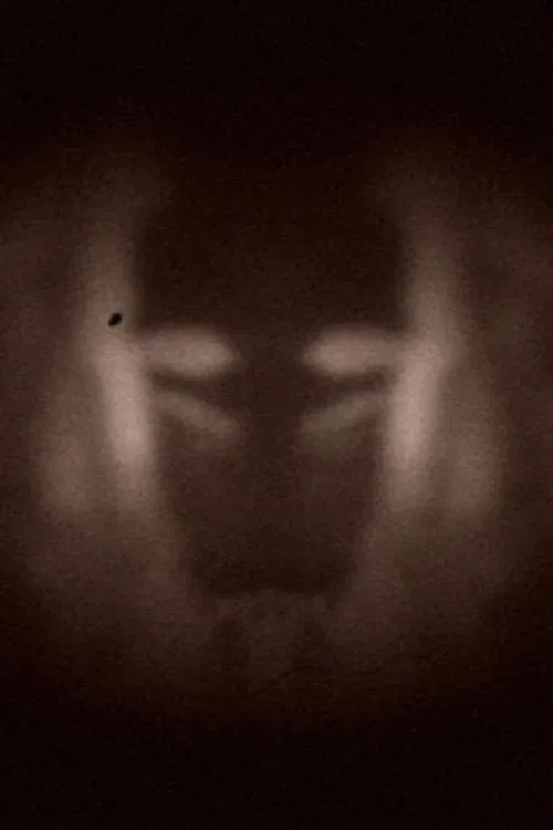 L’effet miroir poster