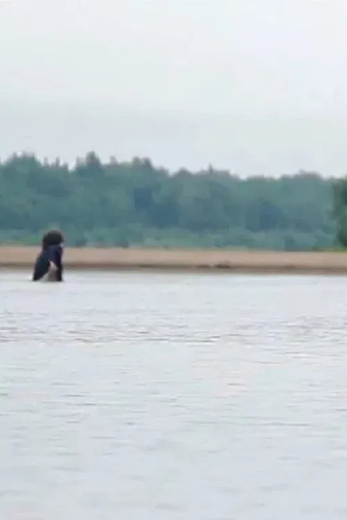 The Movie For The One Man poster