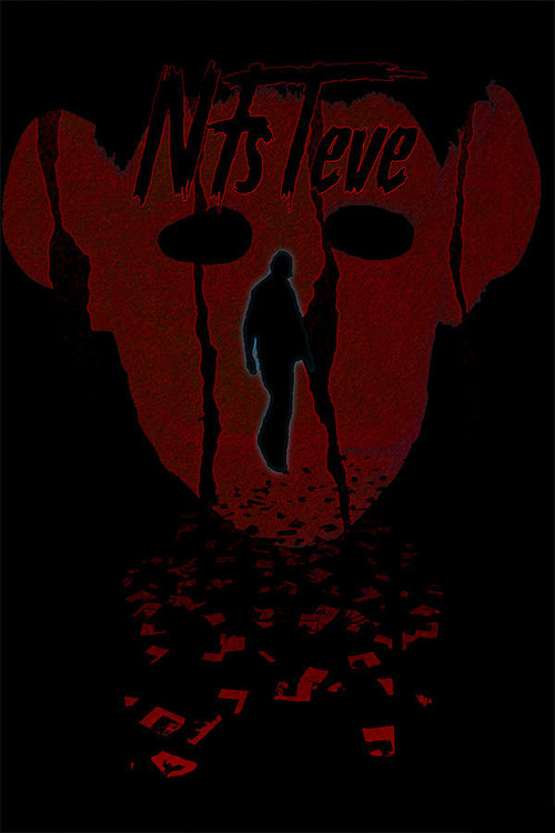 NFsTeve poster
