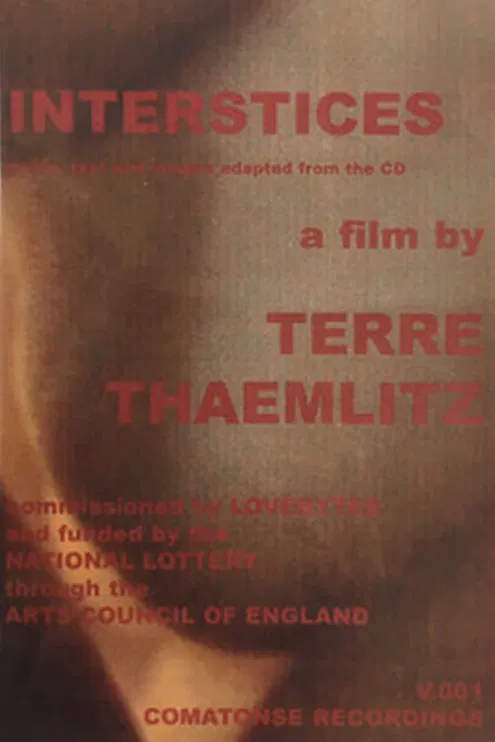 Interstices poster