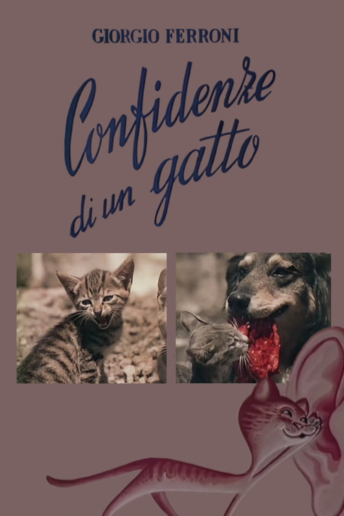 Confidenze di un gatto poster