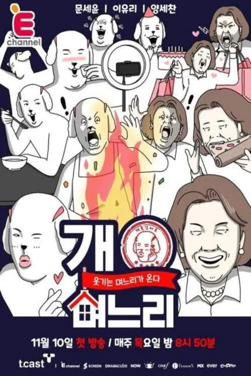 개며느리 poster