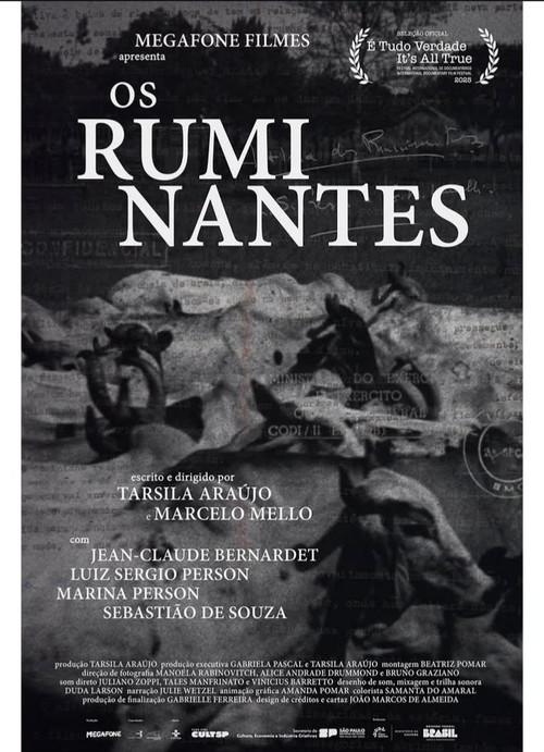 Os Ruminantes poster