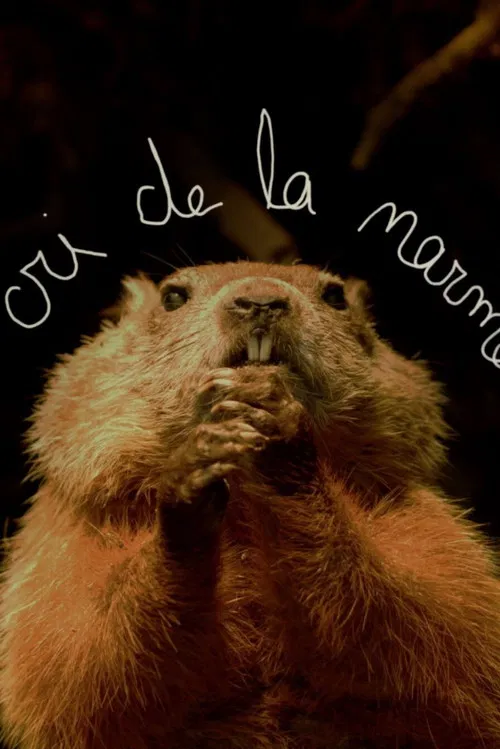 Le cri de la marmotte poster