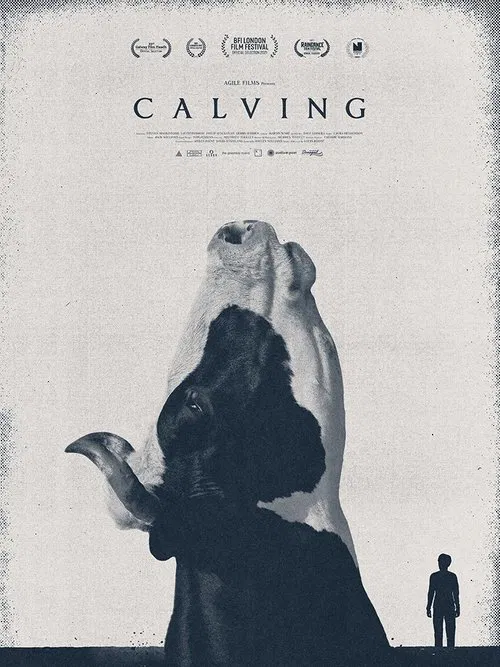 Calving poster