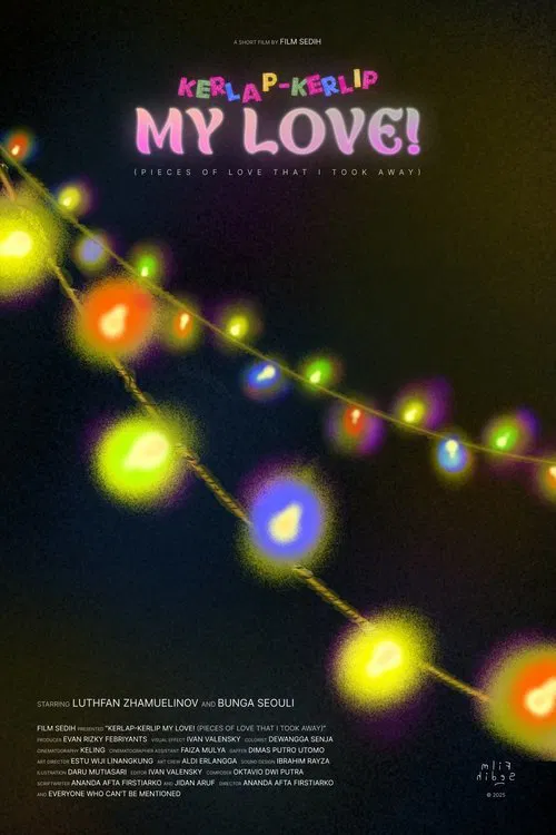 Pieces Of Love That I Took Away poster