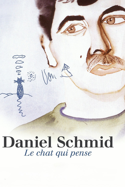 Daniel Schmid: Le Chat Qui Pense poster