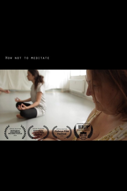 How Not To Meditate poster